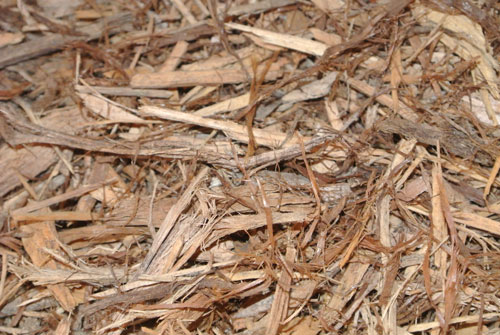 cypress-mulch-b