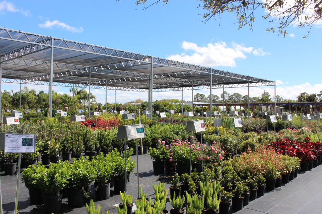 About Mariposa Nursery & Retail Garden Center