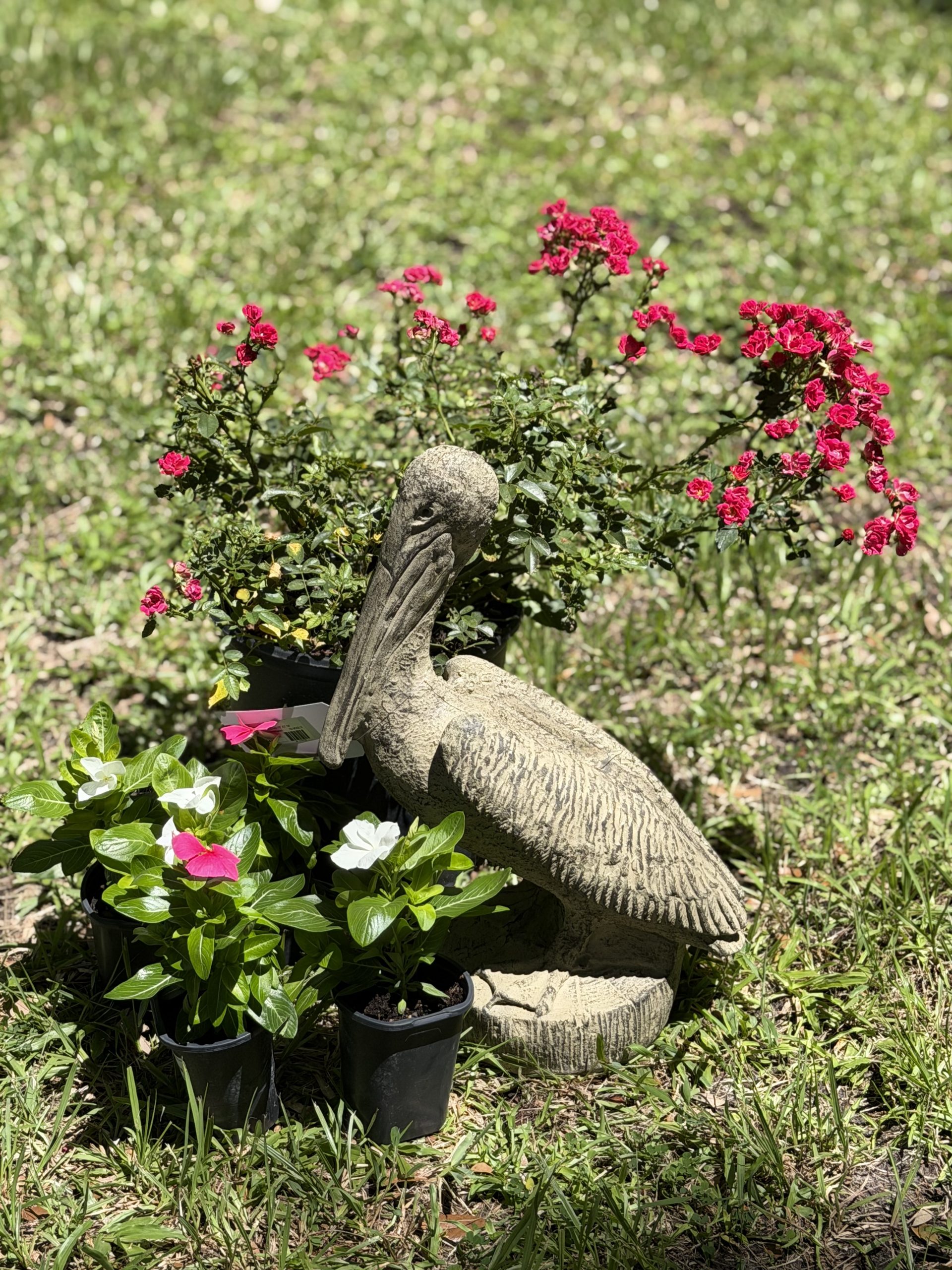 IMG_2210